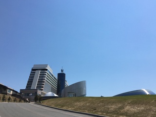 IMG_8507.JPG