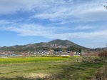 image0.jpeg
