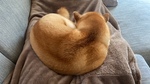 image0.jpeg